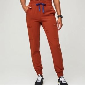 FIGS Auburn Zamora High Waisted Scrub Pants (limited edition color)